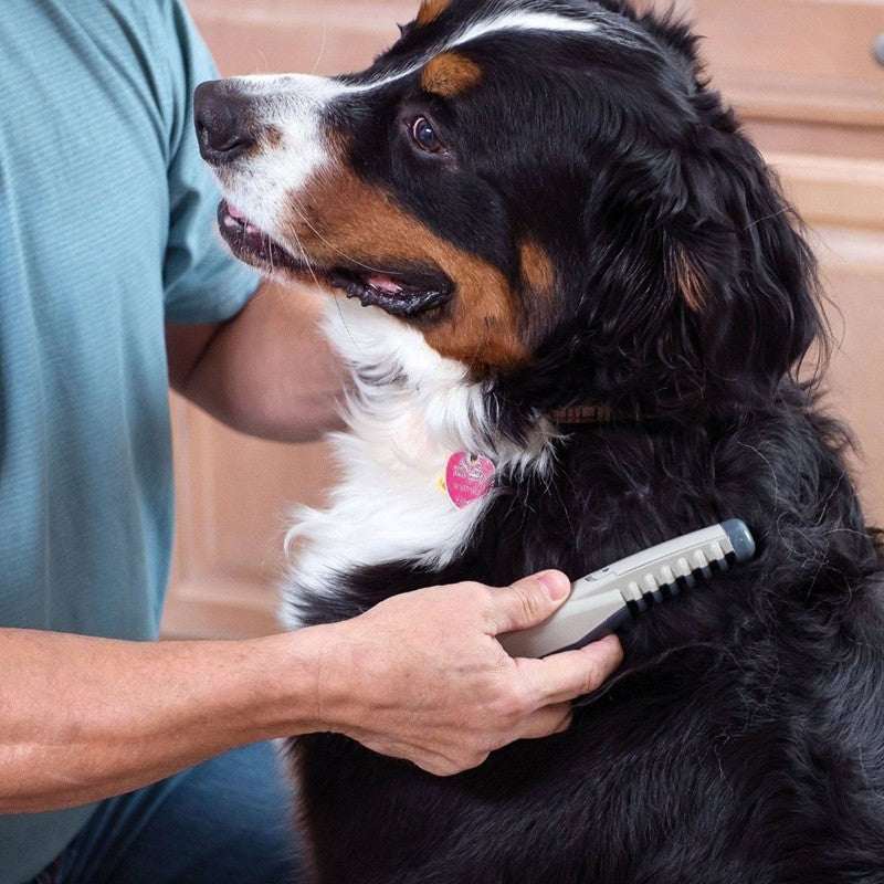 Skylight (alpha) The Electric Pet Grooming Comb