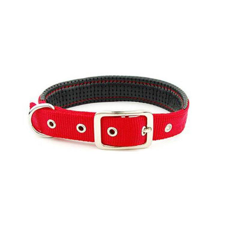 Traction Dog Collar