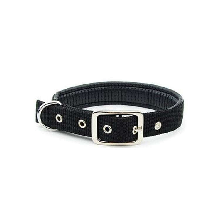 Traction Dog Collar