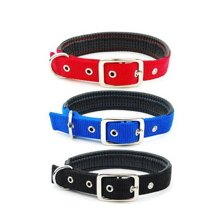 Traction Dog Collar