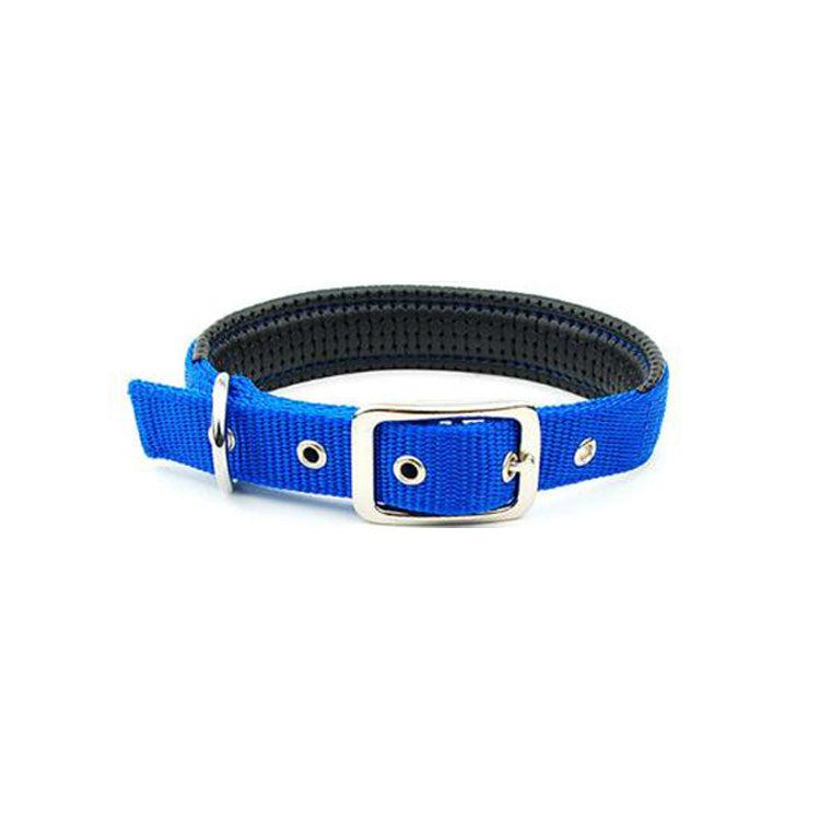 Traction Dog Collar