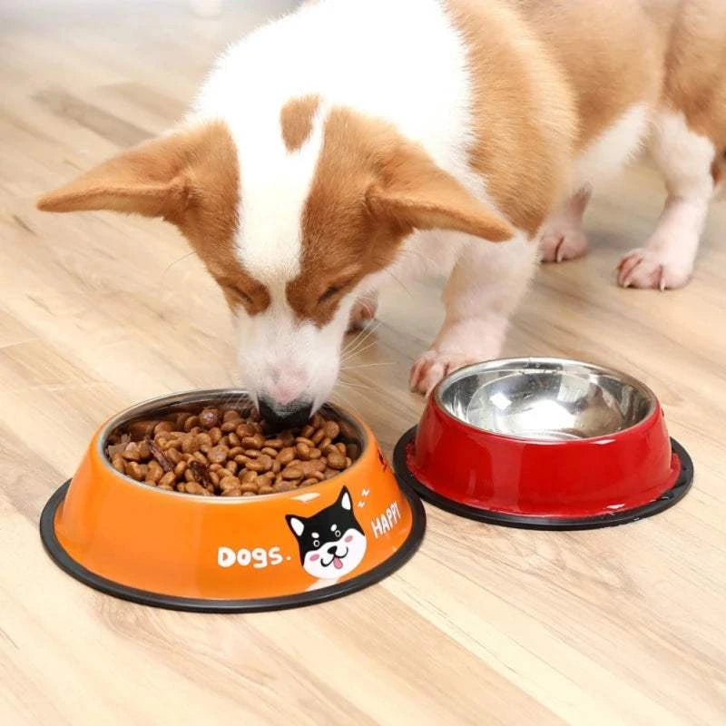 Pet Bowl Stainless Steel Color Decal Non-slip Durable Feeder