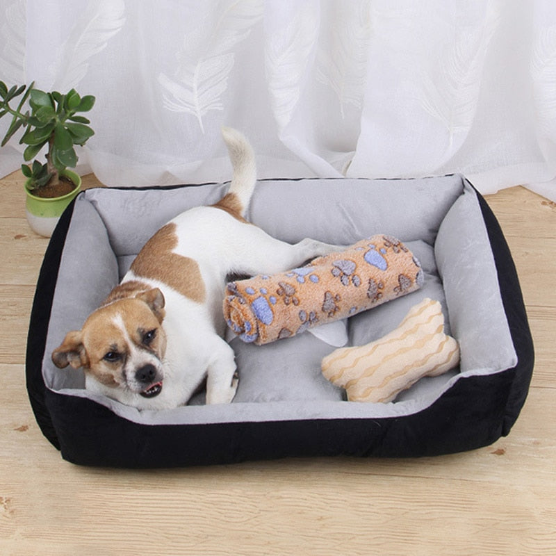 Skylight (charlie) Fiber Plush Classic Dog Bed