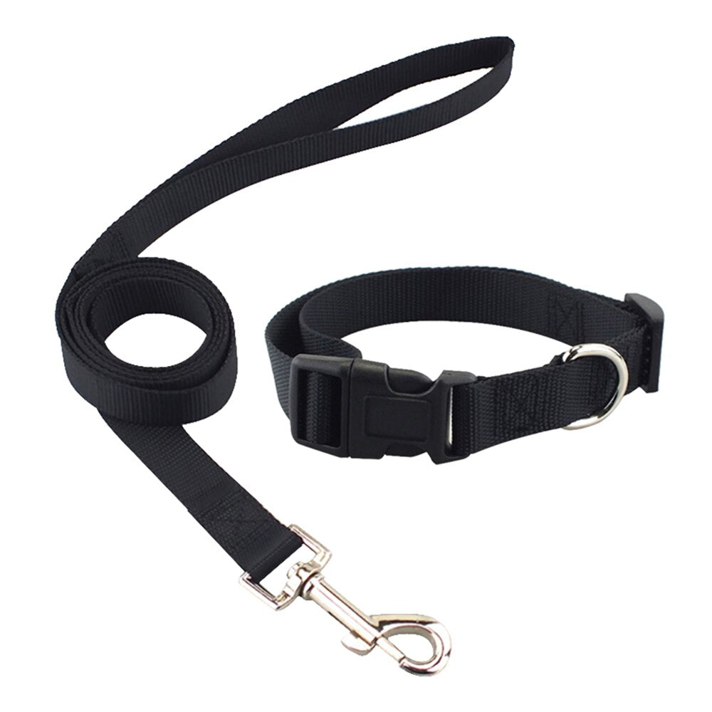 Skylight (charlie) Combo Basic Dog Leash & Collar