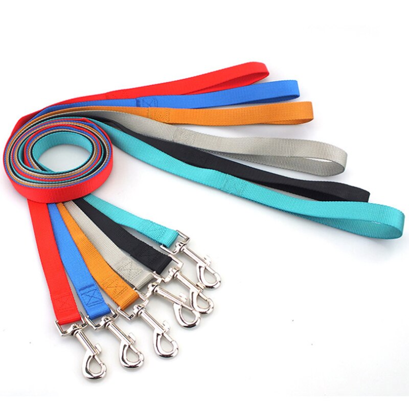 Skylight (charlie) Combo Basic Dog Leash & Collar