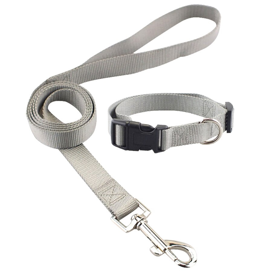 Skylight (charlie) Combo Basic Dog Leash & Collar