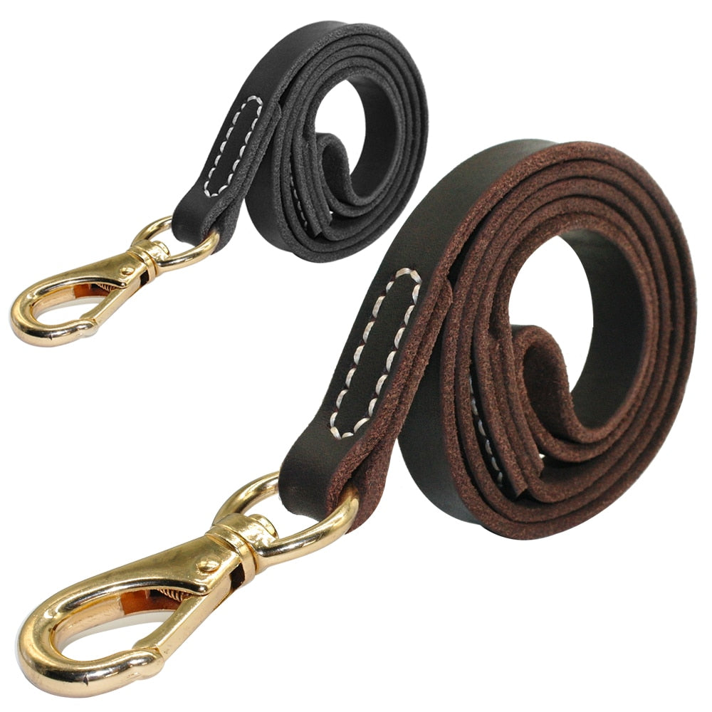 Skylight (charlie) Leather Dog Leash