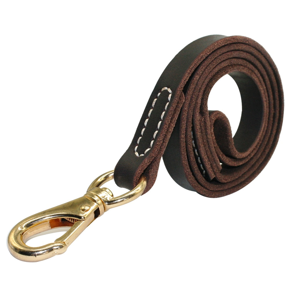 Skylight (charlie) Leather Dog Leash