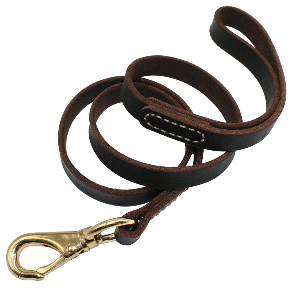 Skylight (charlie) Leather Dog Leash