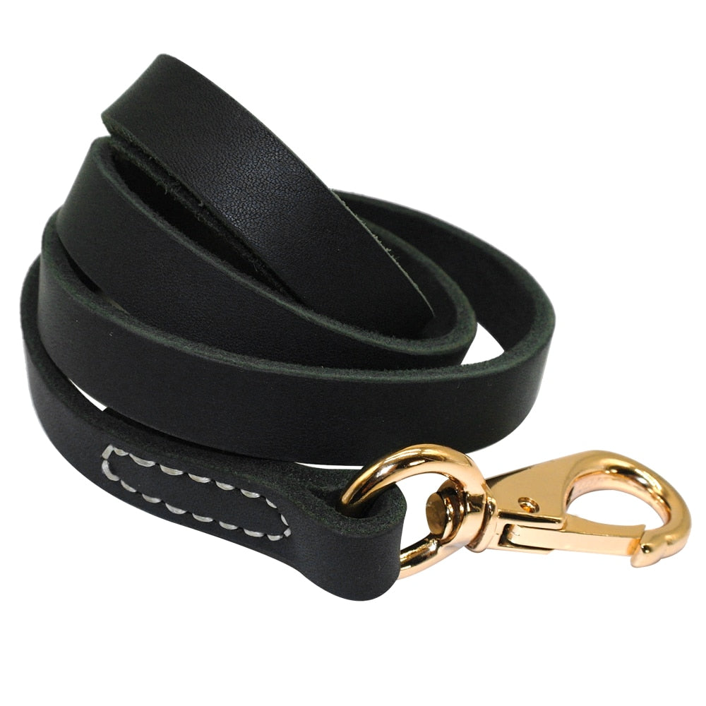 Skylight (charlie) Leather Dog Leash