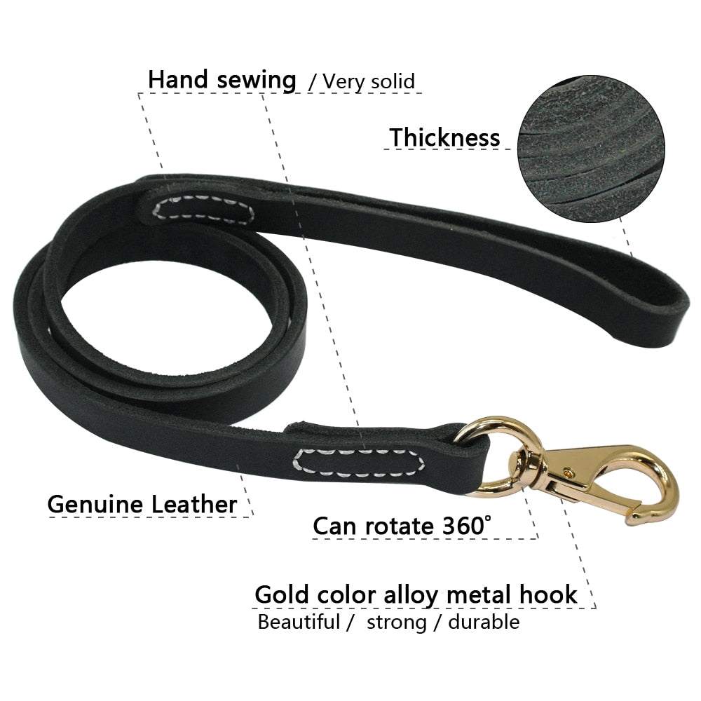 Skylight (charlie) Leather Dog Leash