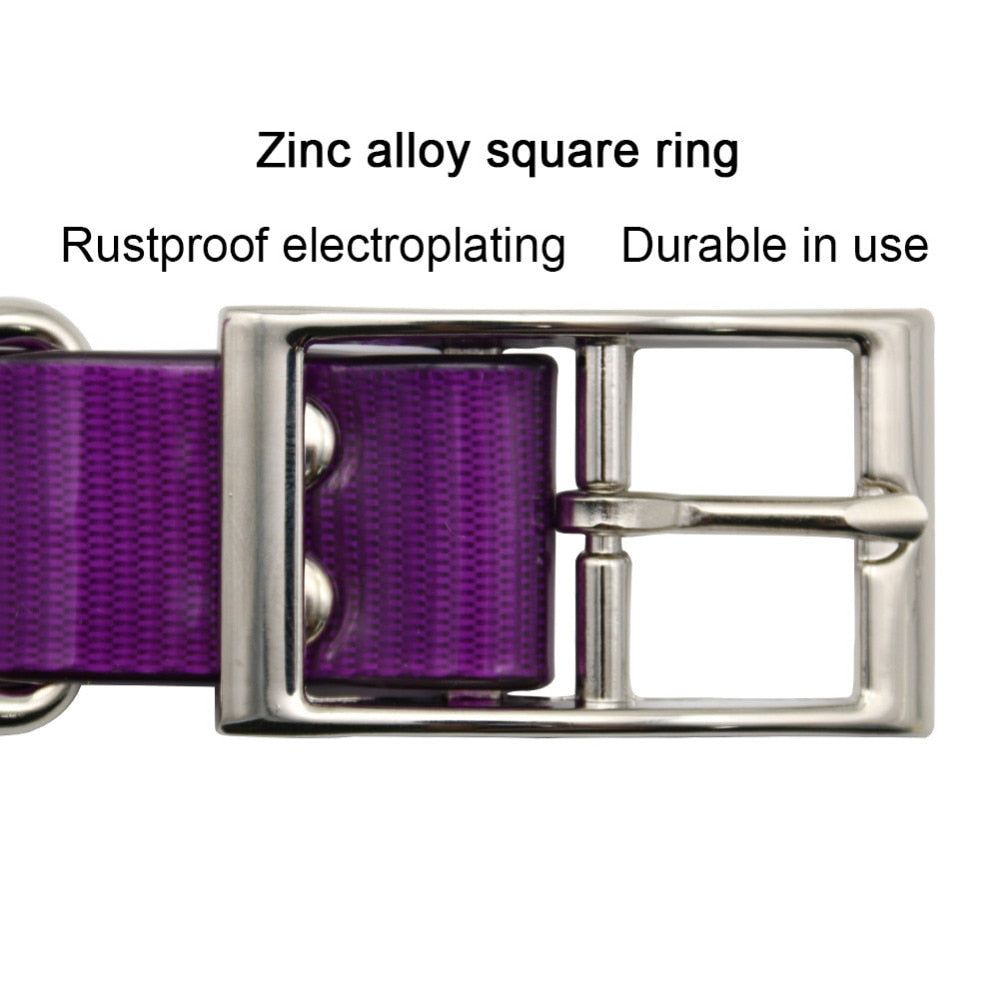 Skylight (charlie) TPU Basic Dog Collar