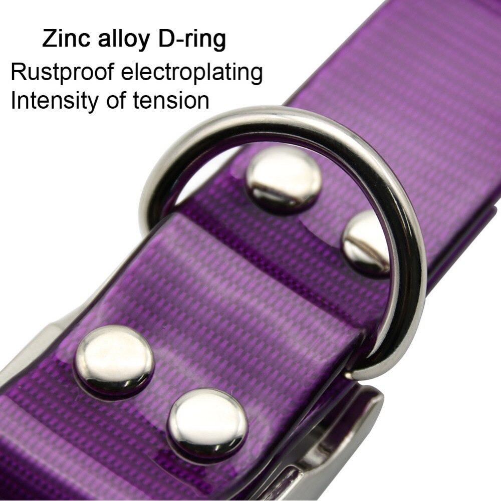 Skylight (charlie) TPU Basic Dog Collar
