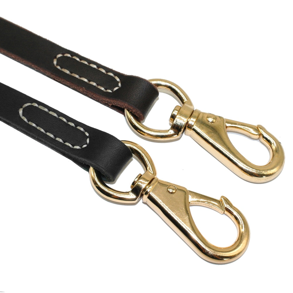 Skylight (charlie) Leather Dog Leash