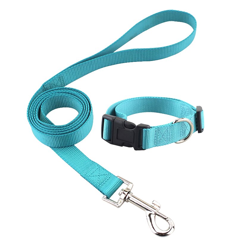 Skylight (charlie) Combo Basic Dog Leash & Collar