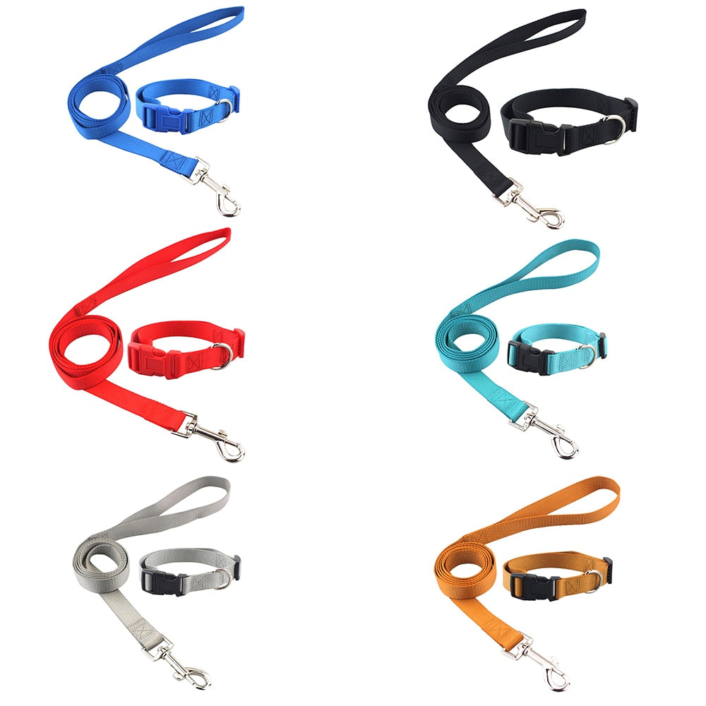 Skylight (charlie) Combo Basic Dog Leash & Collar