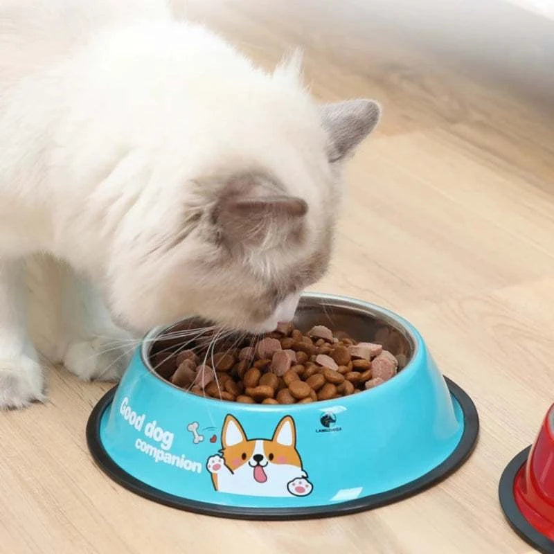 Pet Bowl Stainless Steel Color Decal Non-slip Durable Feeder
