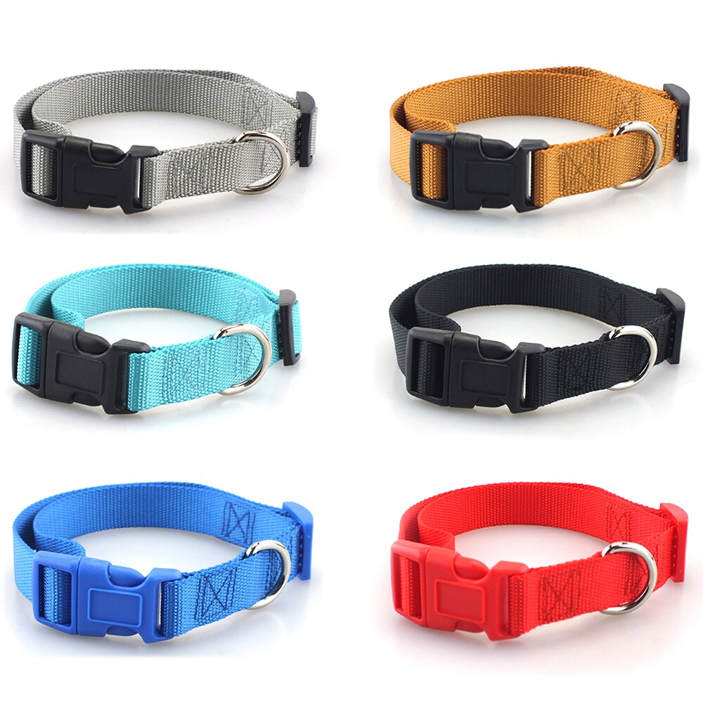 Skylight (charlie) Combo Basic Dog Leash & Collar