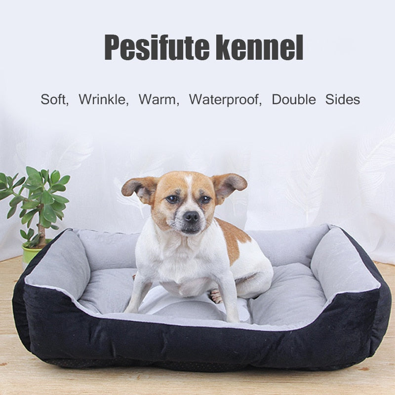 Skylight (charlie) Fiber Plush Classic Dog Bed