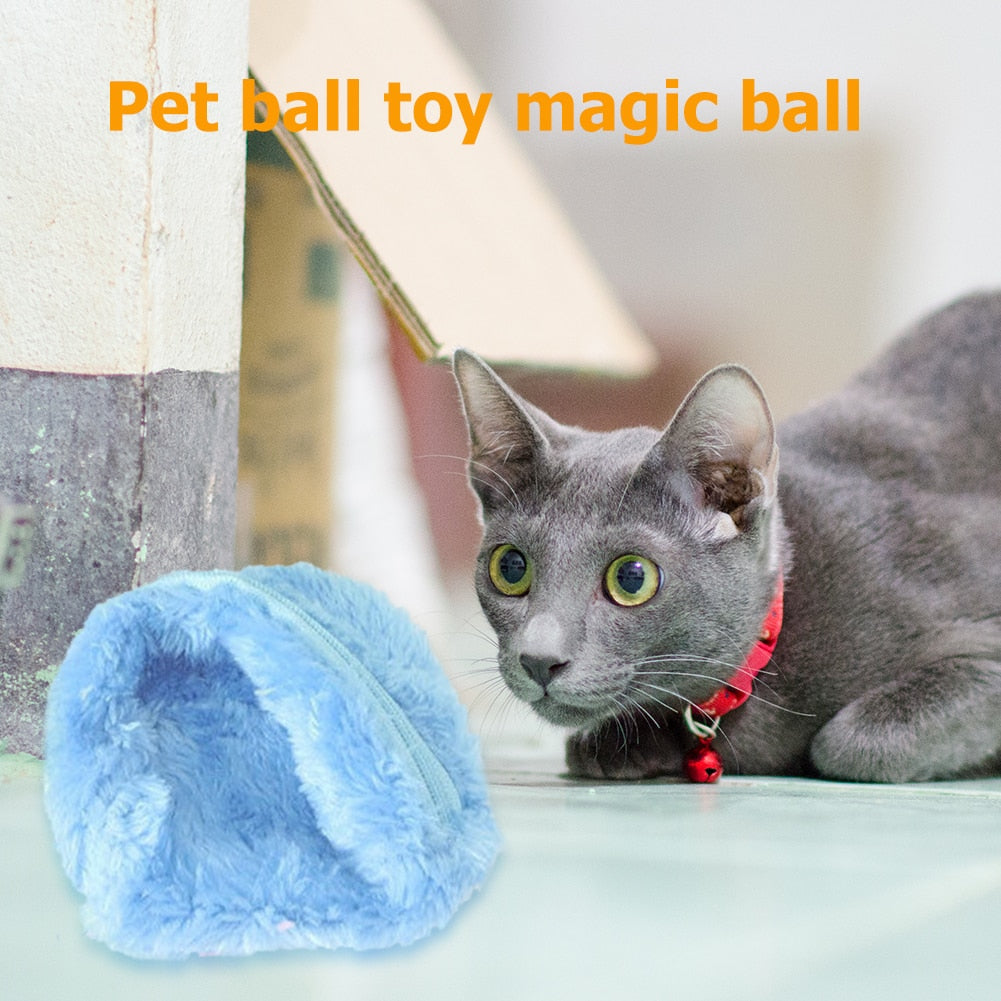 Skylight (charlie) Magic Ball Interactive Activated