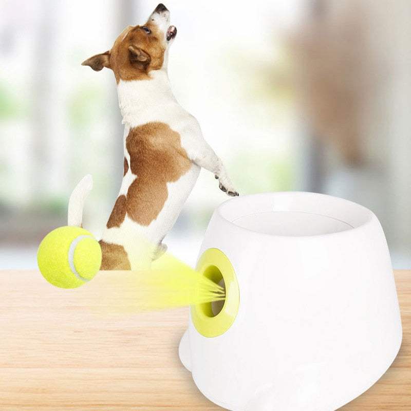 Skylight (charlie) Adjustable Automatic Ball Thrower
