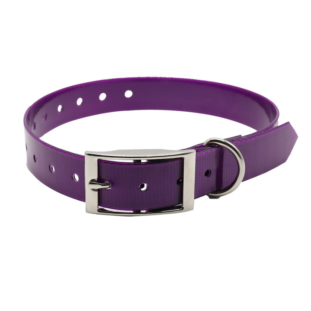Skylight (charlie) TPU Basic Dog Collar