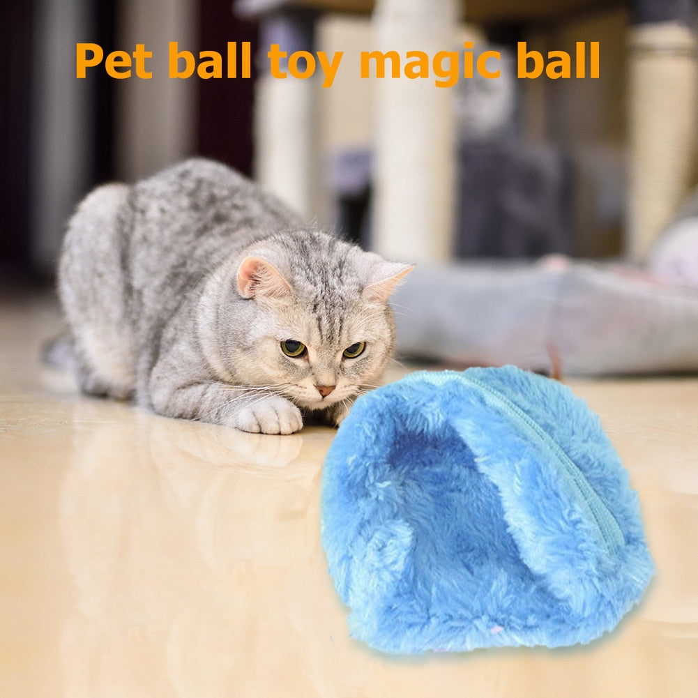 Skylight (charlie) Magic Ball Interactive Activated