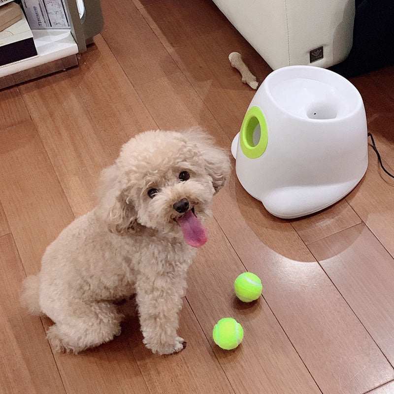 Skylight (charlie) Adjustable Automatic Ball Thrower