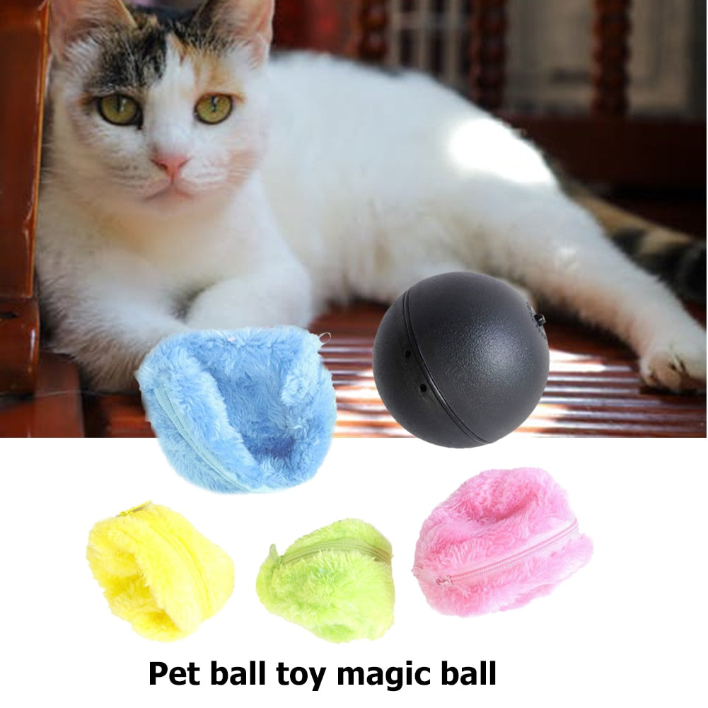 Skylight (charlie) Magic Ball Interactive Activated