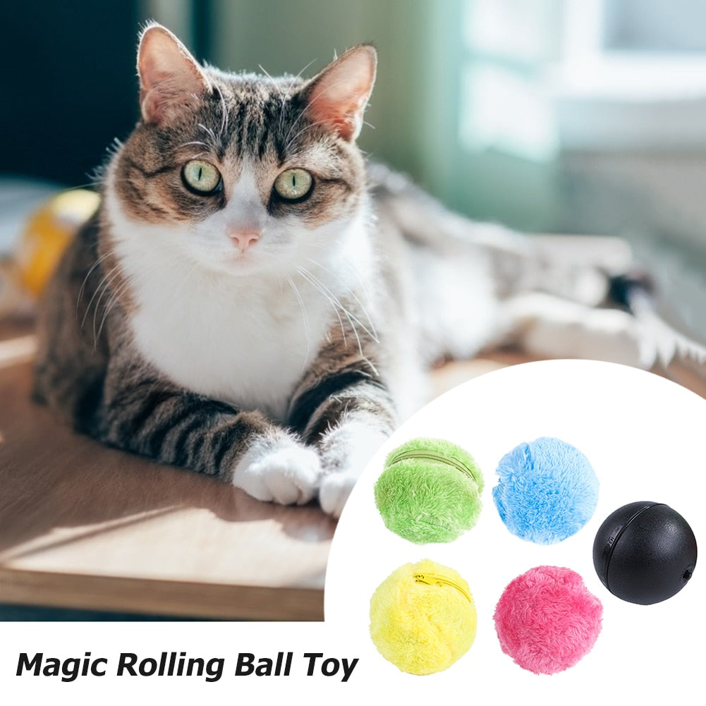 Skylight (charlie) Magic Ball Interactive Activated