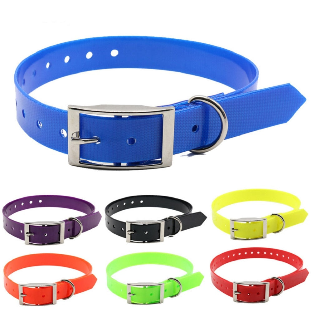 Skylight (charlie) TPU Basic Dog Collar