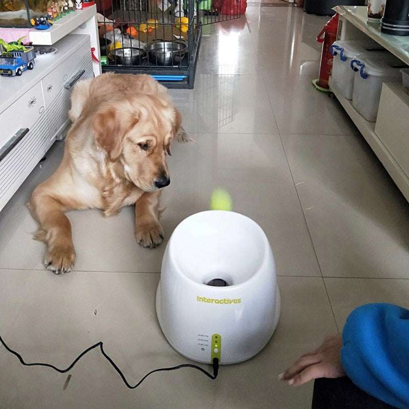 Skylight (charlie) Adjustable Automatic Ball Thrower