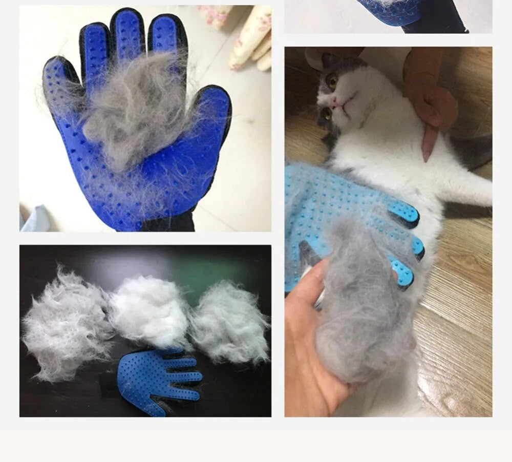 Skylight (charlie) Hand Glove Comb