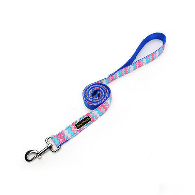 skylight (alpha) glow castle basic nylon leash