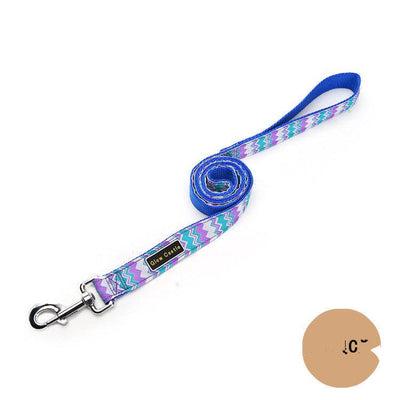 skylight (alpha) glow castle basic nylon leash