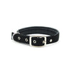 Skylight (alpha) Traction Dog Collar