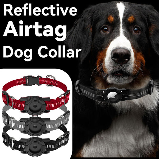 Skylight (alpha) Reflective Heavy-Duty Dog Collar w/ AirTag Holder