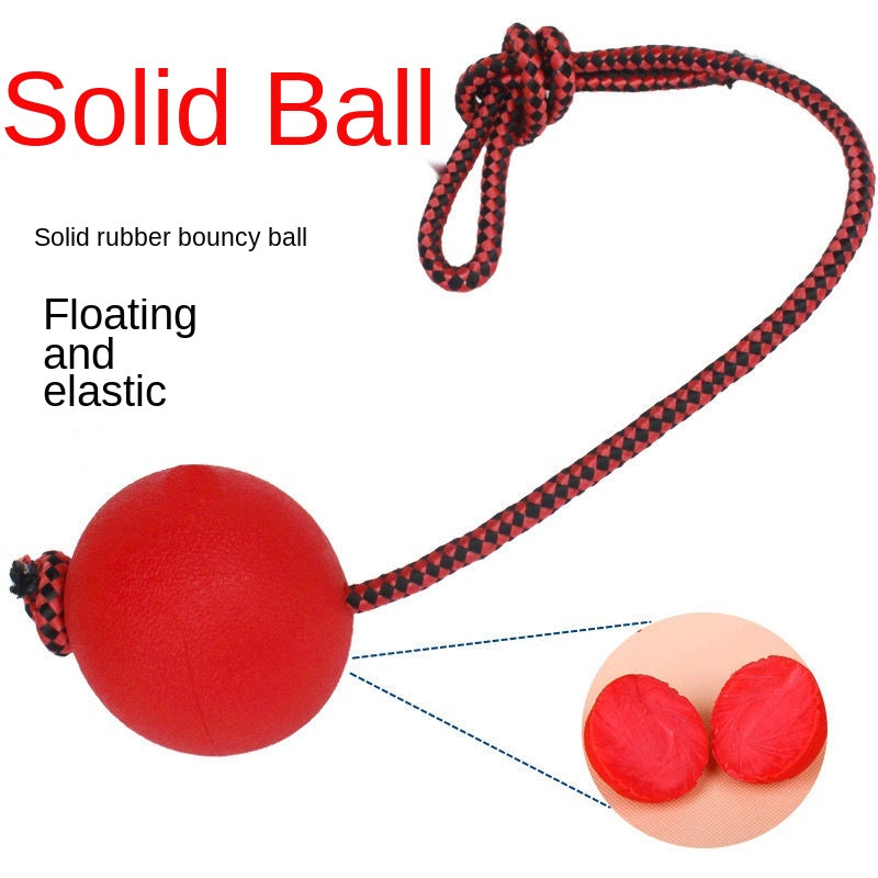 Skylight (beta) rubber training dental chew ball with rope handle