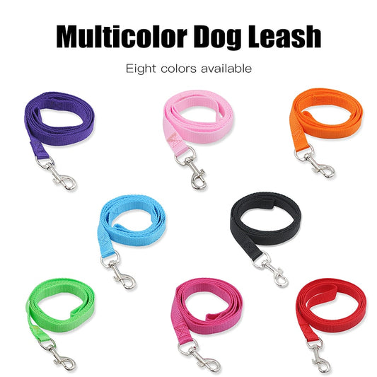 Skylight (charlie) Basic Nylon Dog Leash (8 colors)