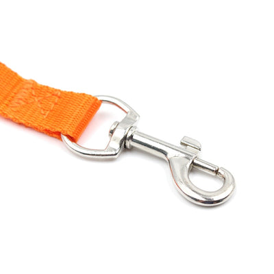 Skylight (charlie) Basic Nylon Dog Leash (8 colors)  Skylight (charlie) Basic Nylon Dog Leash (8 colors) Product Information: Category Dog Leash Product Name Basic Nylon Dog Leash Company Name Skylight (charlie) (Imports) Sub-Category - Material Nylon, metal swivel Size Length: ~ 3.9 ft (47.2 in) (120cm) Width:0.47 in (1.2cm) Color Black, Green, Red, Blue, Pink, Rose Red, Orange Other SKU SC-0001-000