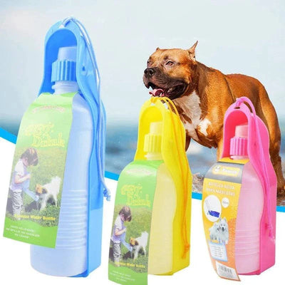 Pets Outdoor Drinking Dispenser Portable - Water Bottle & Bowl