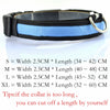 Skylight (charlie) Padded Light Up Nylon Dog Collar