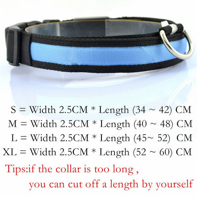 Skylight (charlie) Padded Light Up Nylon Dog Collar