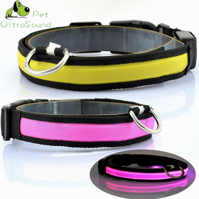 Skylight (charlie) Padded Light Up Nylon Dog Collar