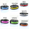 Skylight (charlie) Padded Light Up Nylon Dog Collar