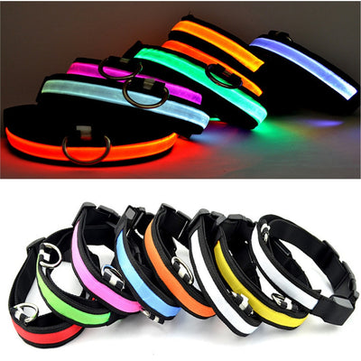 Skylight (charlie) Padded Light Up Nylon Dog Collar