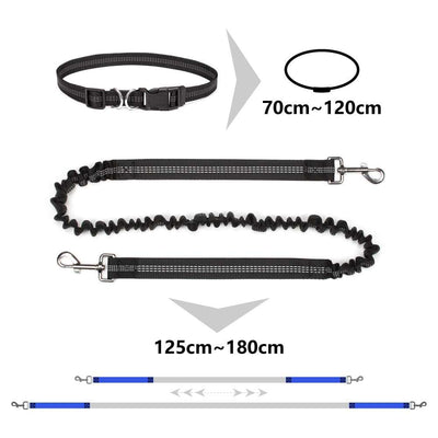 Skylight (charlie) 2-in-1 Waist(hands-free) Dog Leads