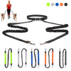 Skylight (charlie) 2-in-1 Waist(hands-free) Dog Leads