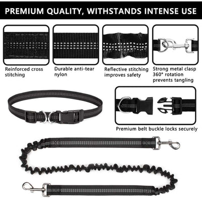 Skylight (charlie) 2-in-1 Waist(hands-free) Dog Leads