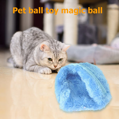 Skylight (charlie) Magic Ball Interactive Activated